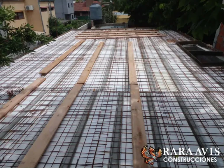 raraavis construcciones