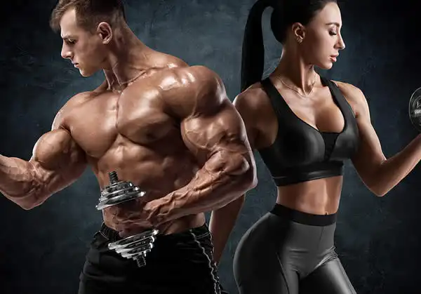 AvlGym