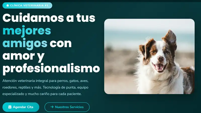 cliente-veterinaria
