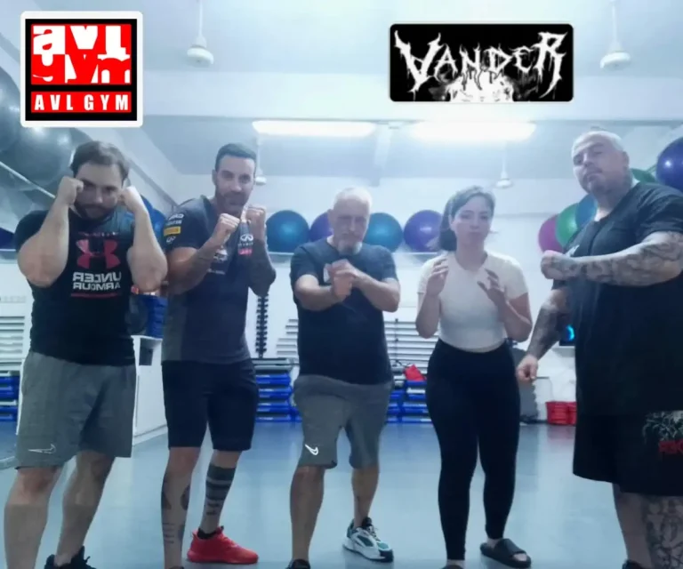 GIMNASIO | AVL GYM