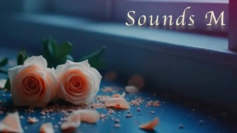musica sounds M