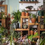 VIVERO URBANO